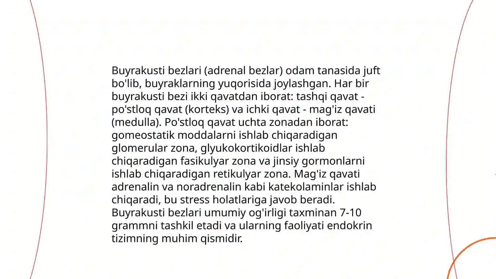 Buyrakusti bezi,me’daosti bezi, jinsiy bezlar 4