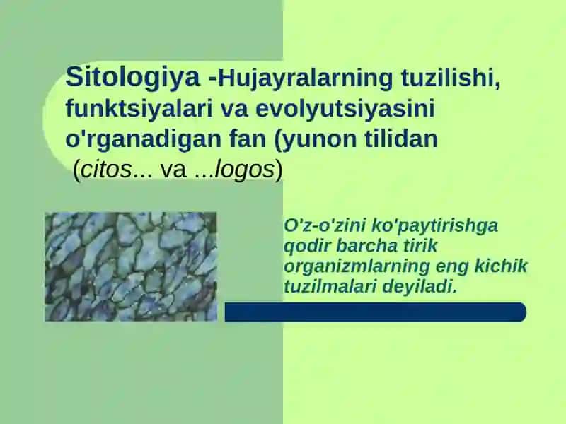 Hujayra Nazariyasi 4