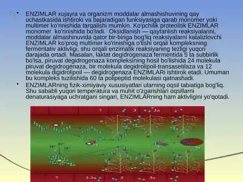 Enzimlar tuzilishi va ularning katalitik faolligi 4