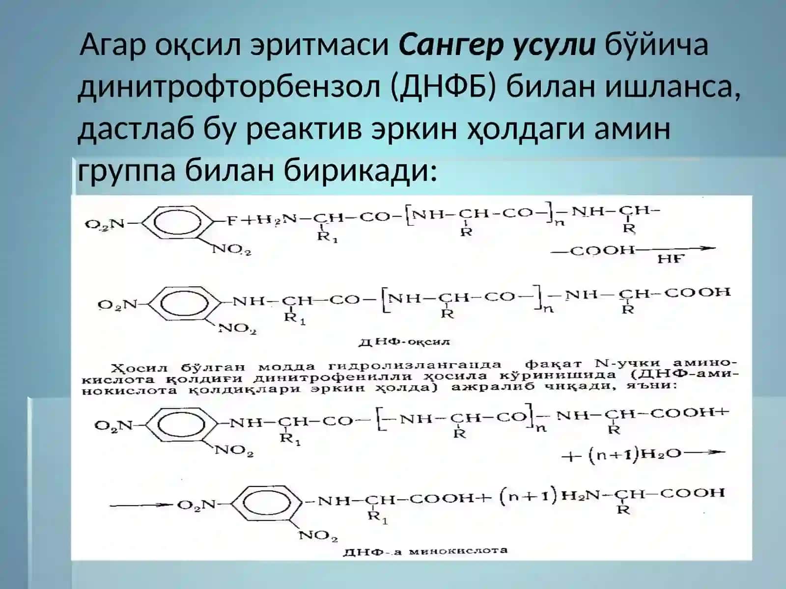 Оксил структуралари 4