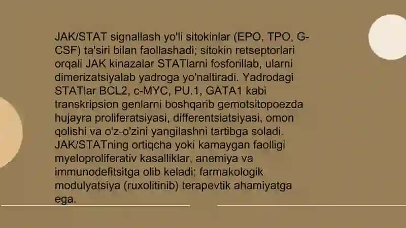 Gemotsitopoez jarayoninig boshqariluvi 4