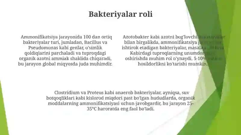Ammonifikatsiya jarayoni 4