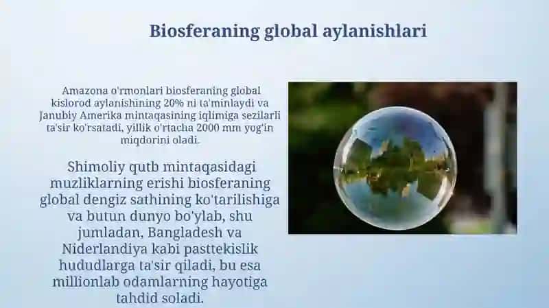 Biosfera. Biosferaning asosiy funktsiyalari va tarkibi 4