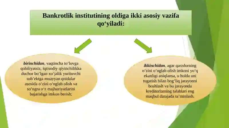 TADBIRKORLIK SUB’EKTLARINING BANKROTLIGI 4