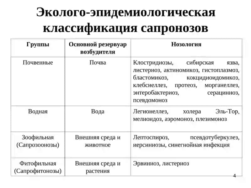 Эпидемиология и профилактика сапронозов 4