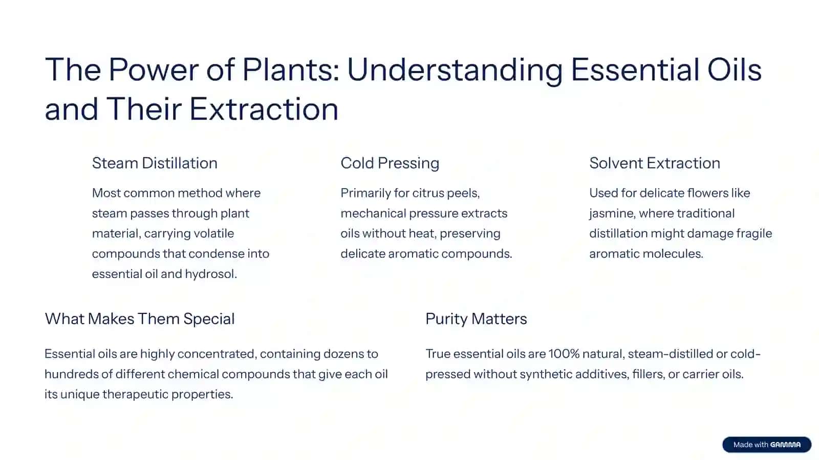 The Essence of Well-being: An Introduction to Aromatherapy 4