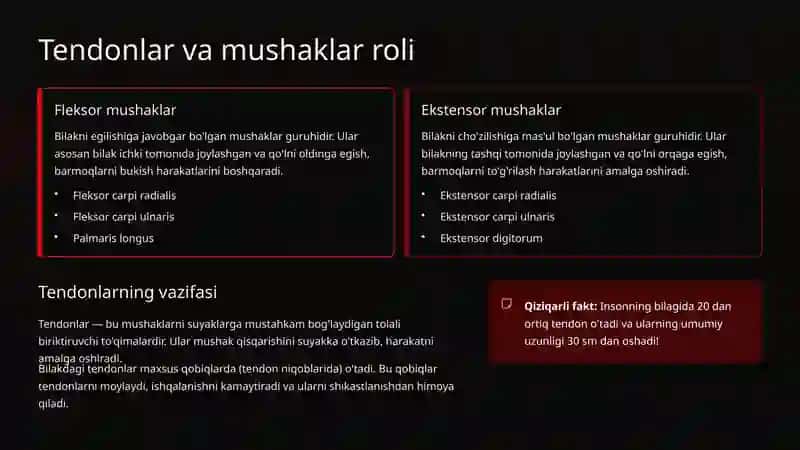 Bilak bo'g'imi tuzilishi: Anatomiya va funksiyalar 4