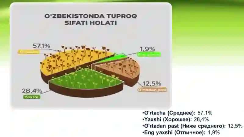 Lalmi va Yaylov tuproqlari  unumdorligi 4