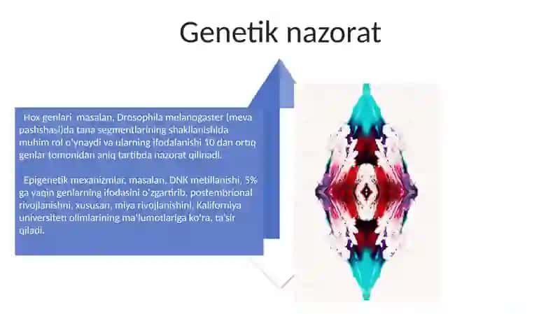 Postembronal rivojlanish 4