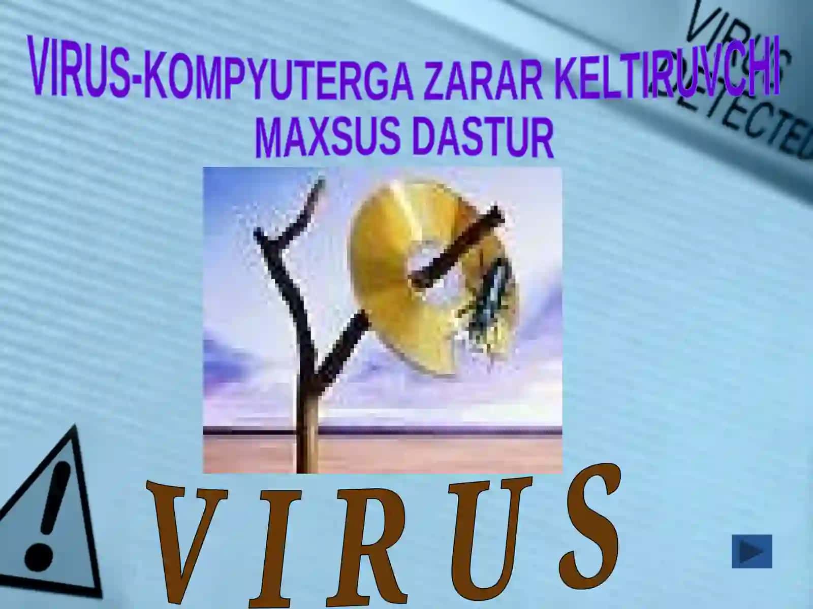 Axborotlarni himoyalash va antivirus  haqida 4