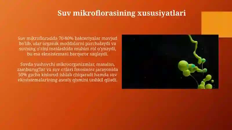 Mikroorganizm ekologiyasi 4