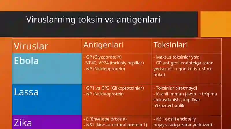 Ebola, Lassa, Zikaviruslariningmorfologiyasi 4