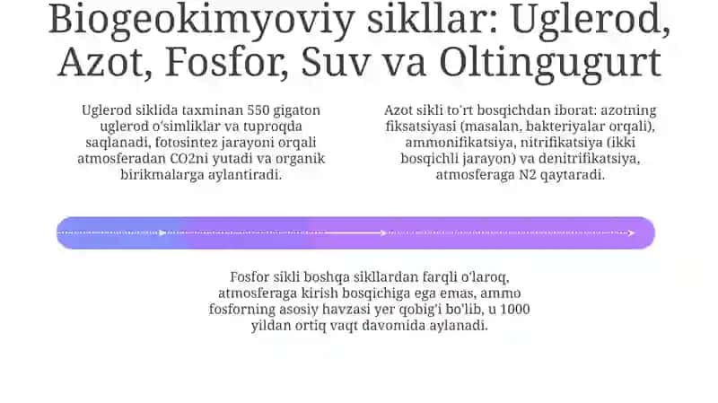 Ekosistemalarda moddalar aylanishi jarayonini modellashtirish 4