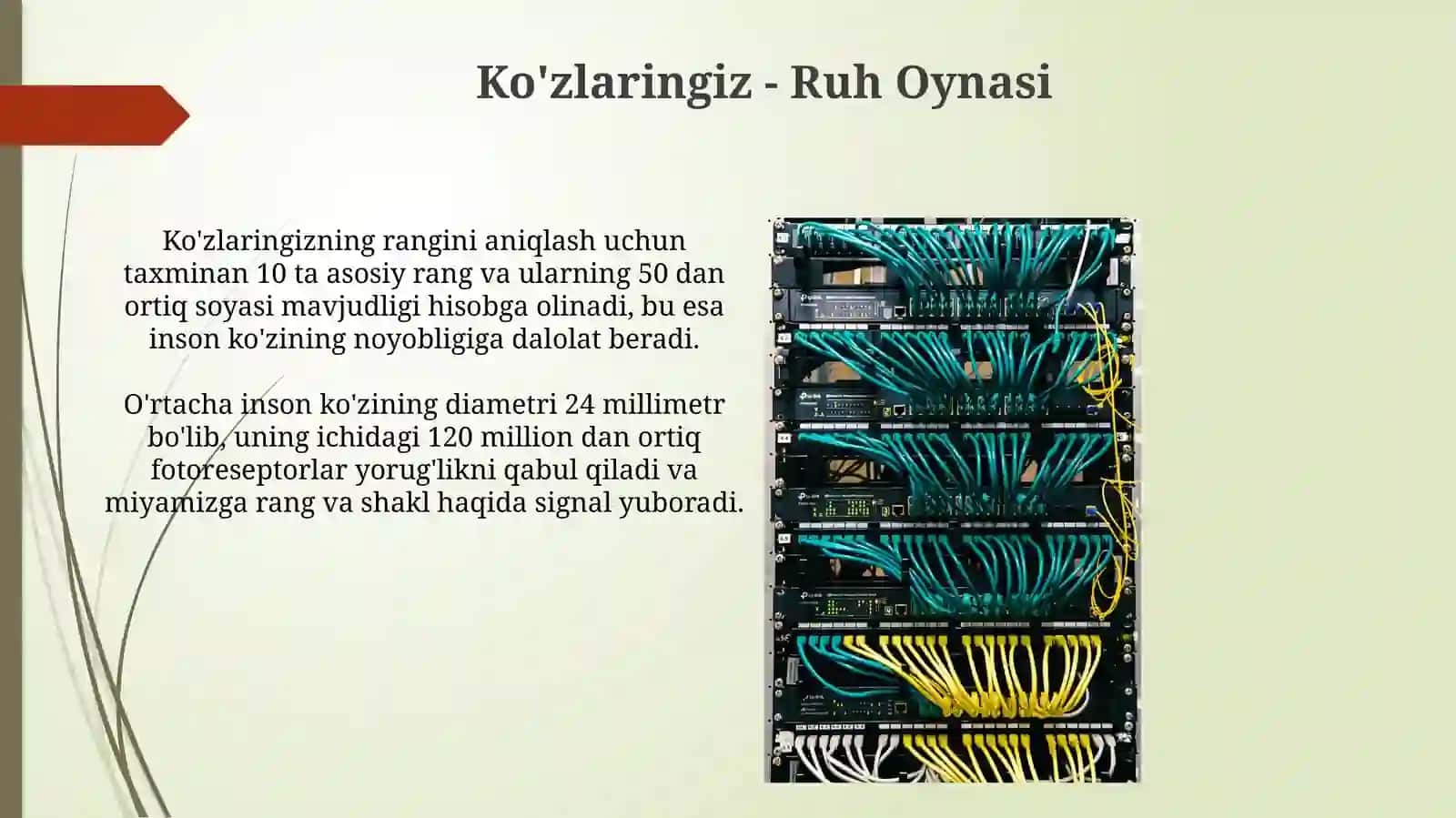 Ko'zlaringizdagi His-Tuyg'ular 4