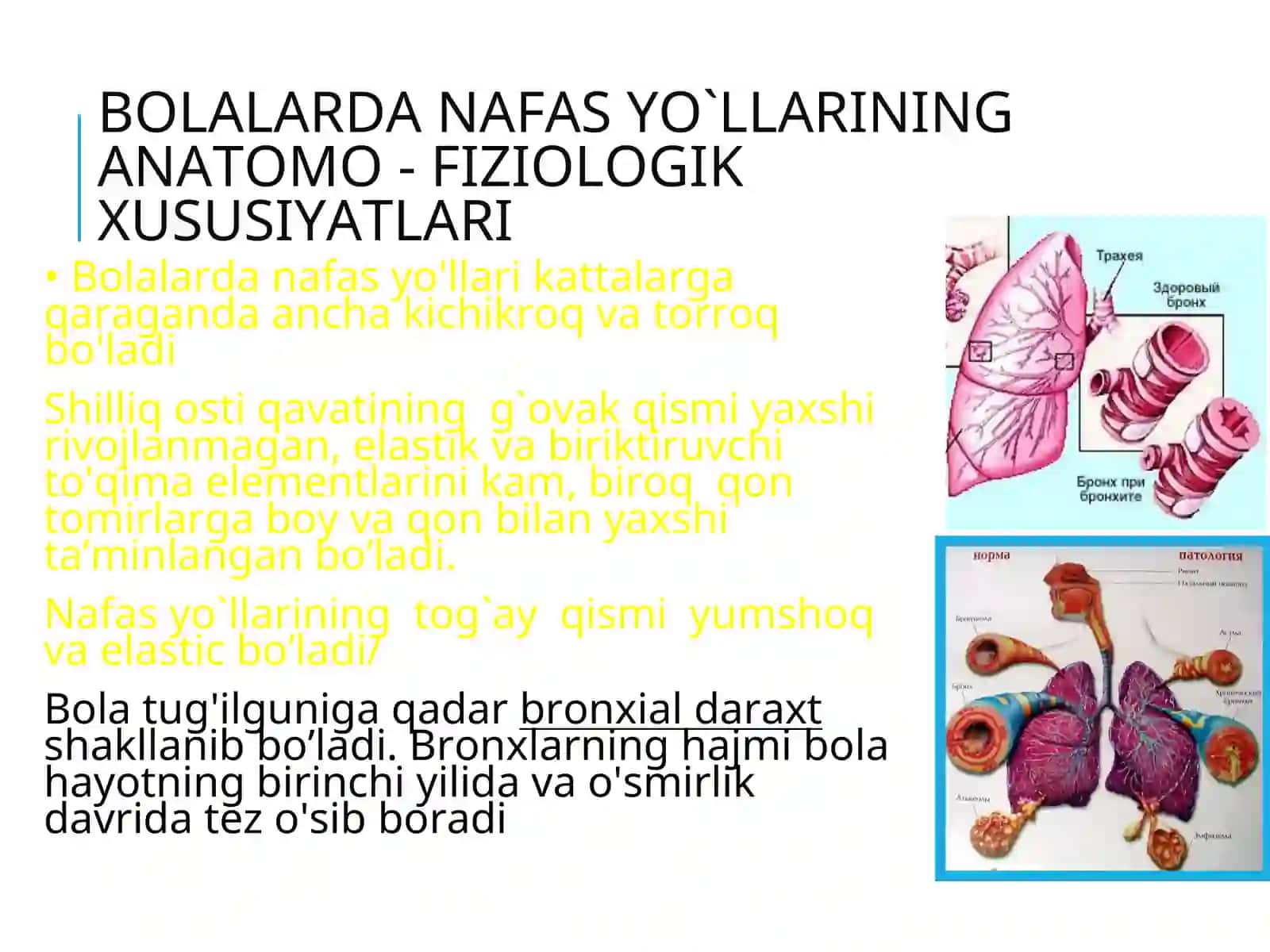 BOLALARDA NAFAS A’ZOLARI KASALLIKLARI, PNEVMONIYA 4