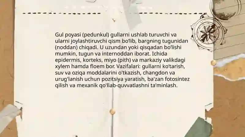 Gulning tuzilishi 4