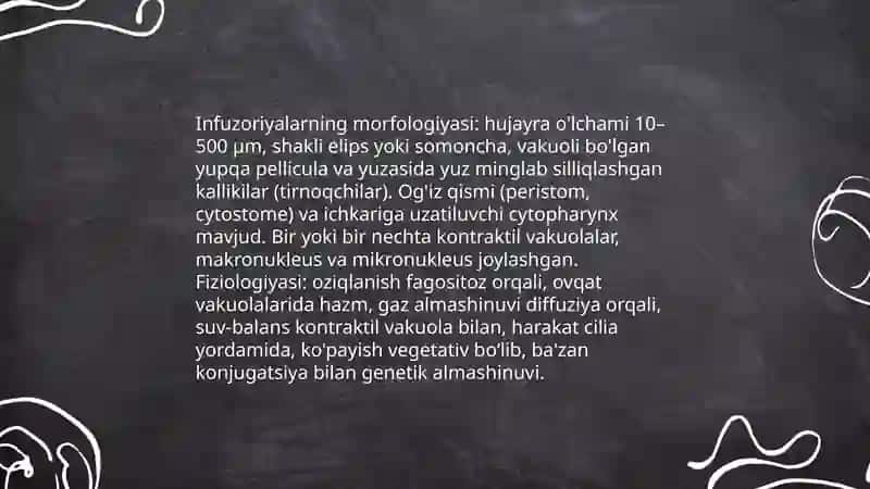 Infuzoriyalar va ichak parazitlari 4