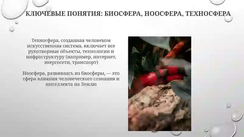 V. I.Vernadsikiyning biosfera haqidagi talimoti 4