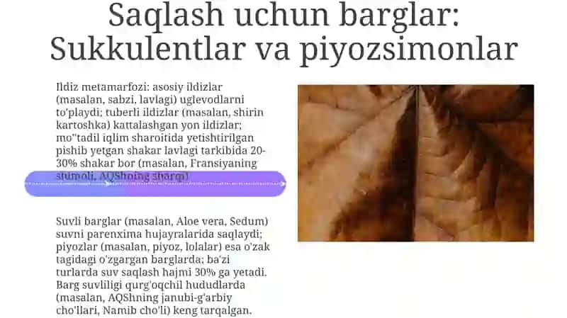 İldiz, poya, barg metamorfozi 4