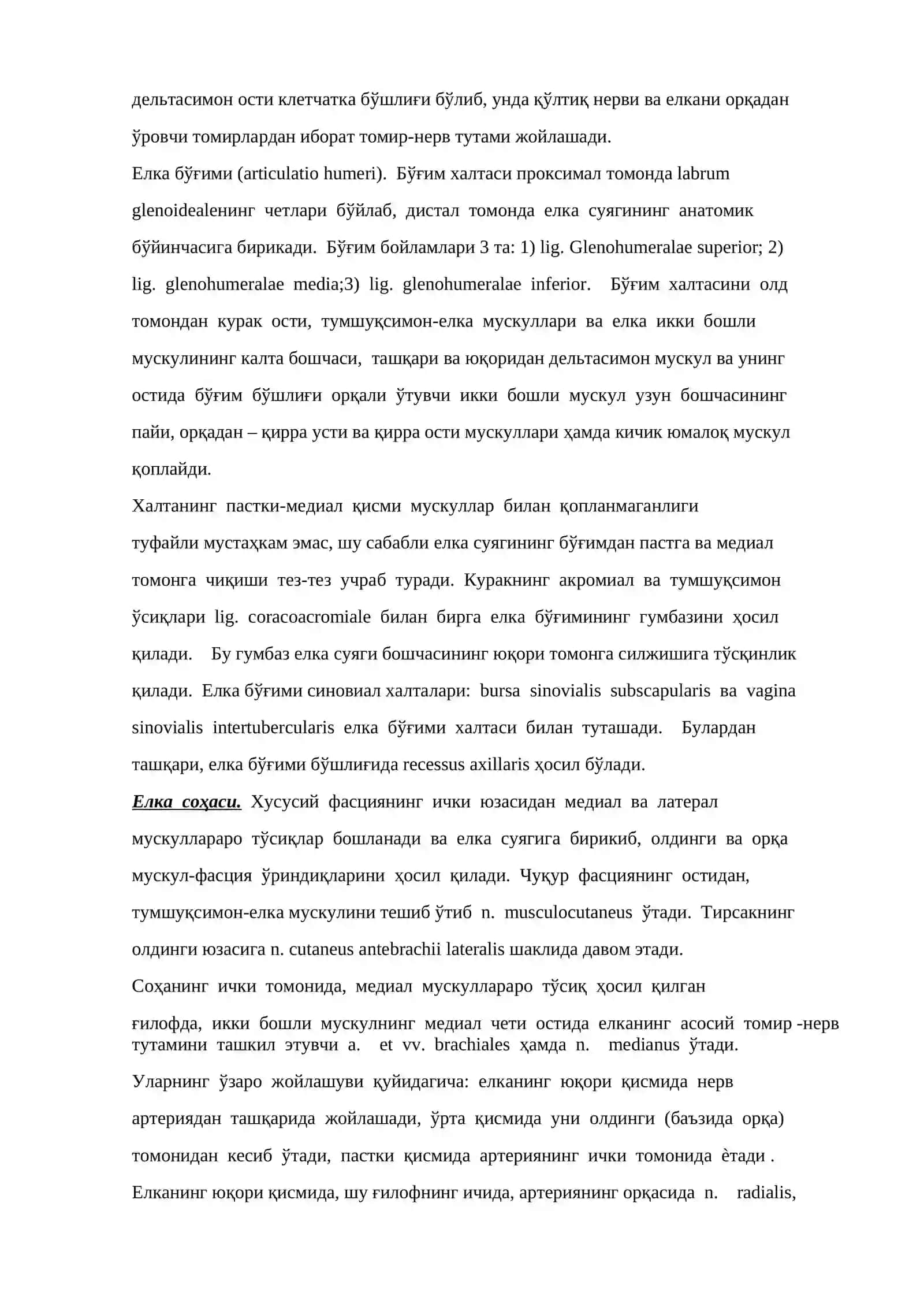 Елка камари клиник анатомияси 4