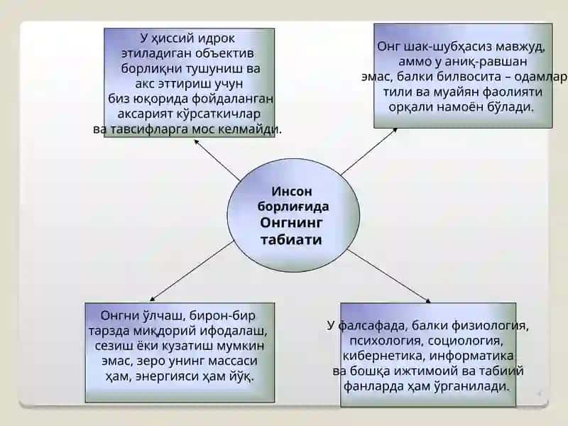 Инсон борлиғи 4