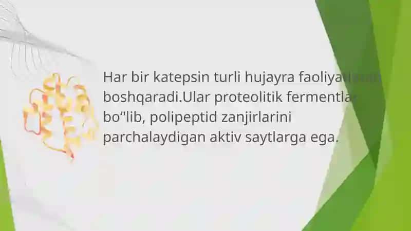 KATEPSINLARVA ULARNING KLINIK AHAMIYATI 4