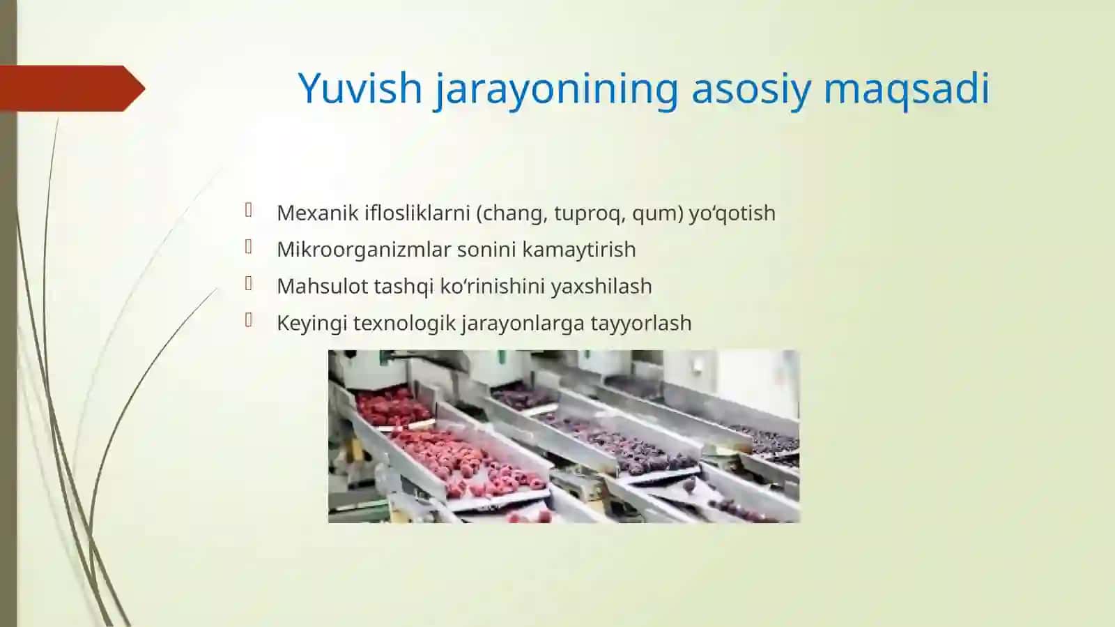Yuvuvchi qurilmalarsiz yuvish usullari 4