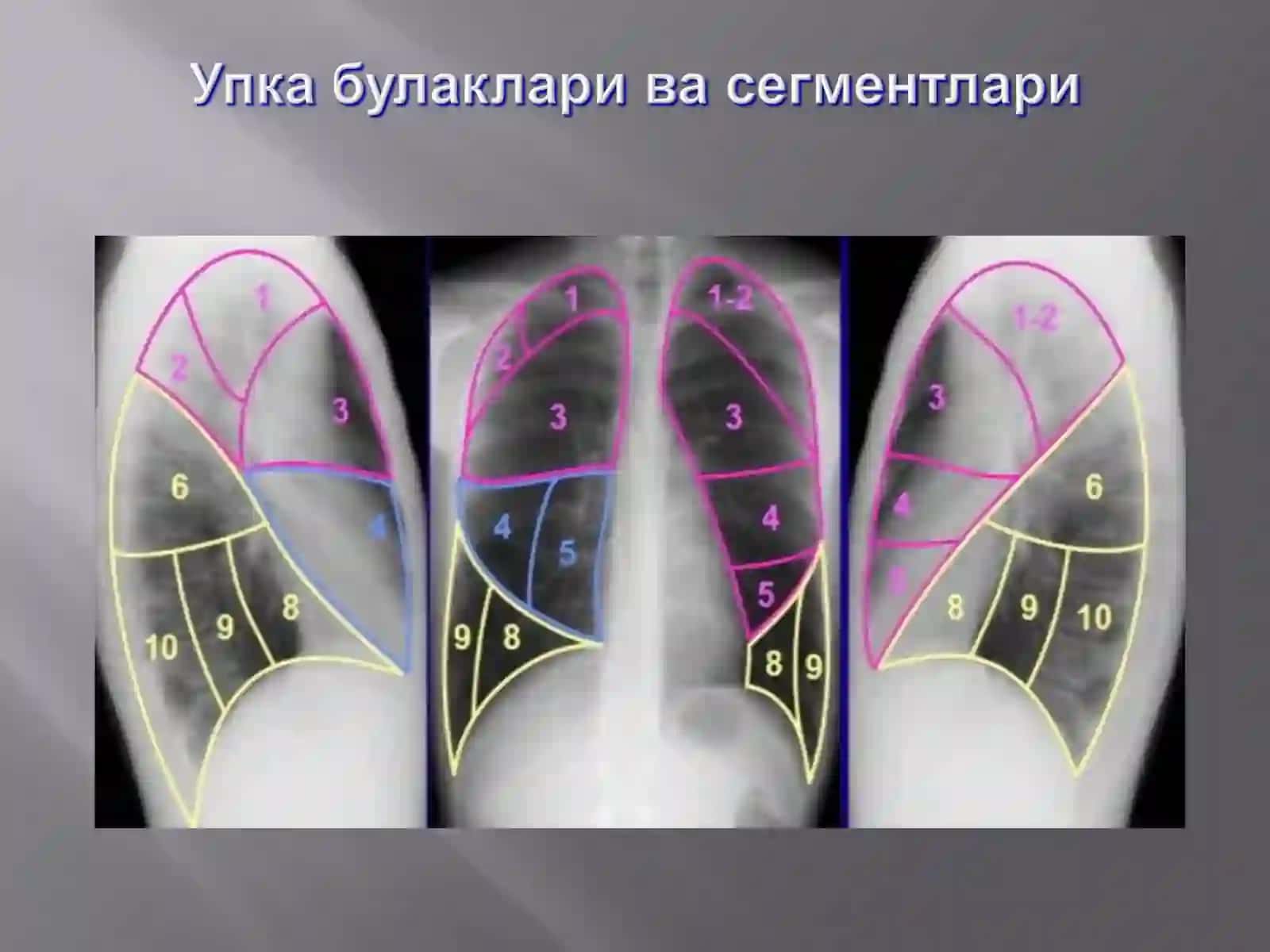 Упка тукимасиёругбулади 4