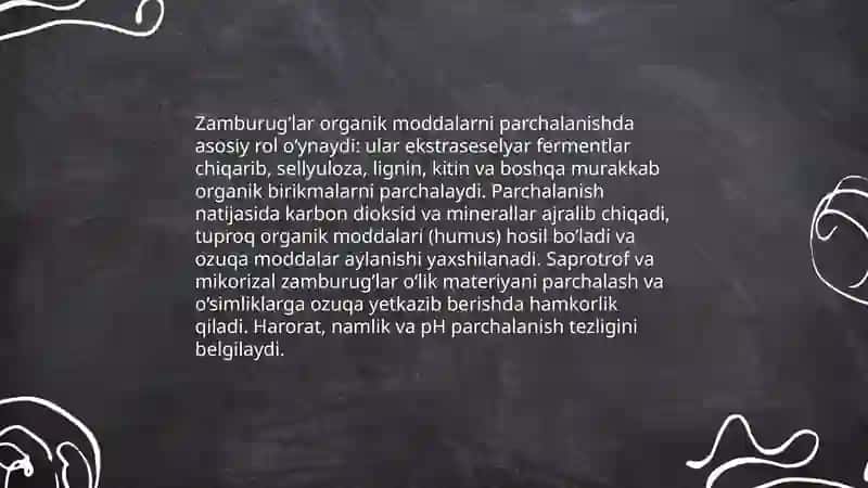 Zamburug’larning ahamiyati 4
