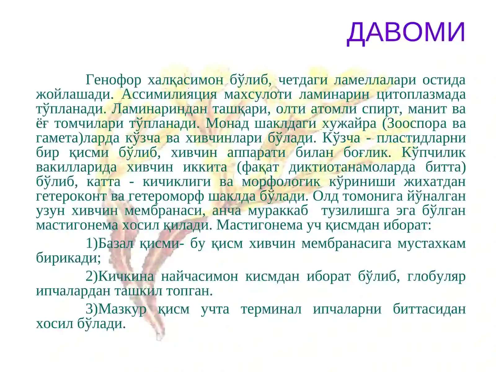 Қўнғирсувўтларибўлими-Phaeophyta 4