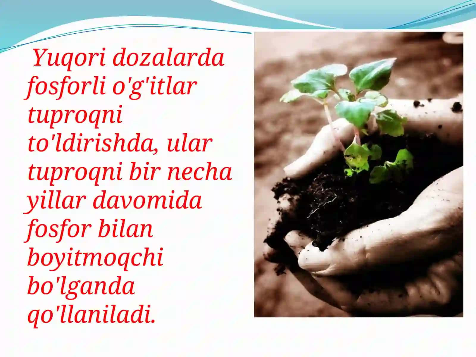 Tuproqning Oziqlanish Rejimi 4