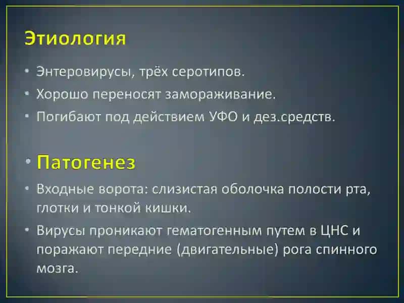 Этиология, эпидемиология 4