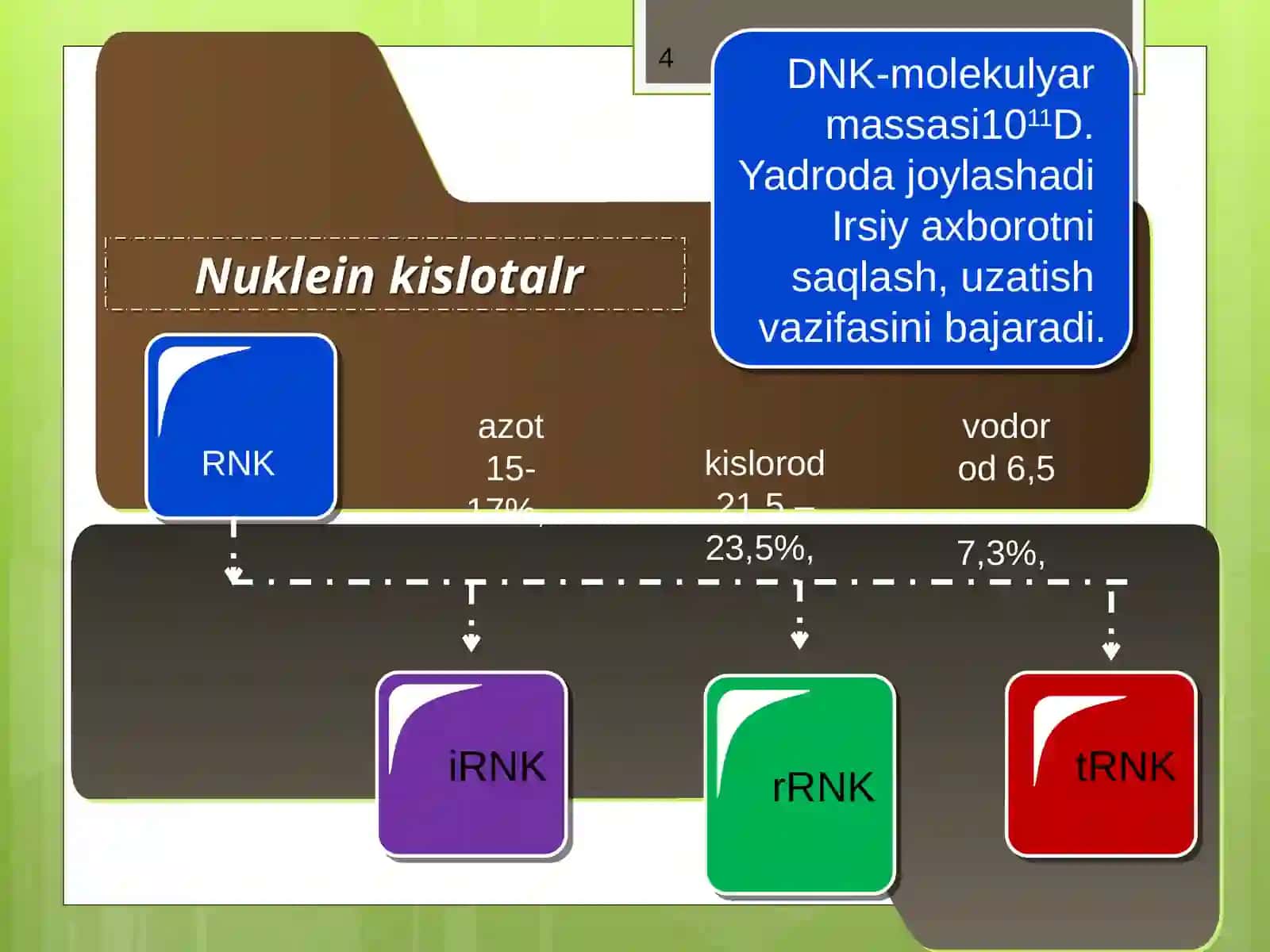 9-sinf Biologiya fanidan dars ishlanma. Nuklein kislotalar 4