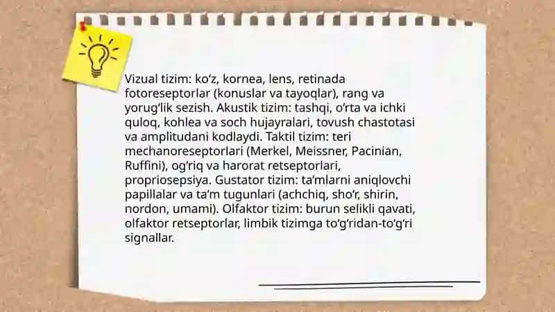 Sezgi va idrok psixologiyasi 4