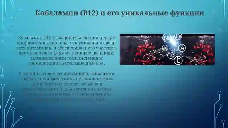 Биохимия витамино в водоростворимые витамины 4