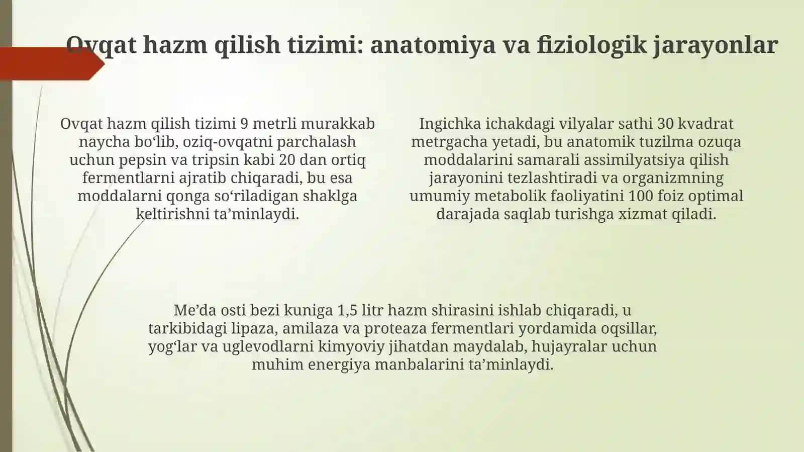 Sog‘lom ovqatlanishning fundamental asoslari va oziq moddalar 4