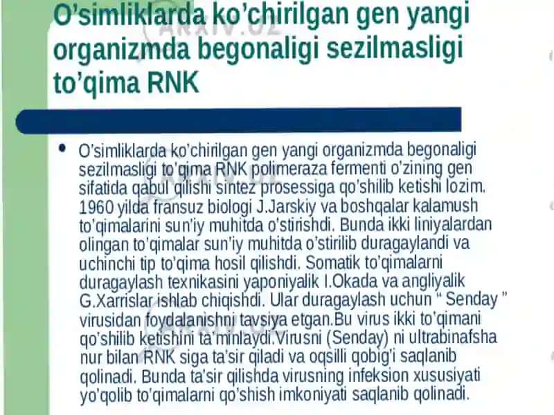 O‘simlik hujayrasi 4