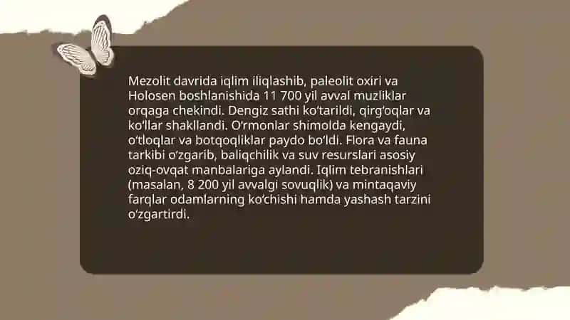 Mezolit davri 4