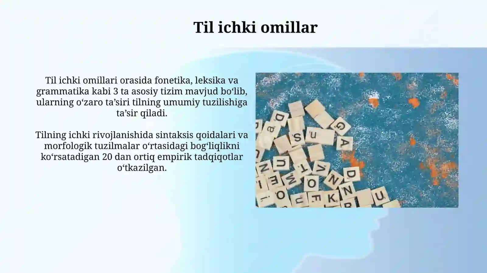 Intralingvistika va ekstra lingvistik 4