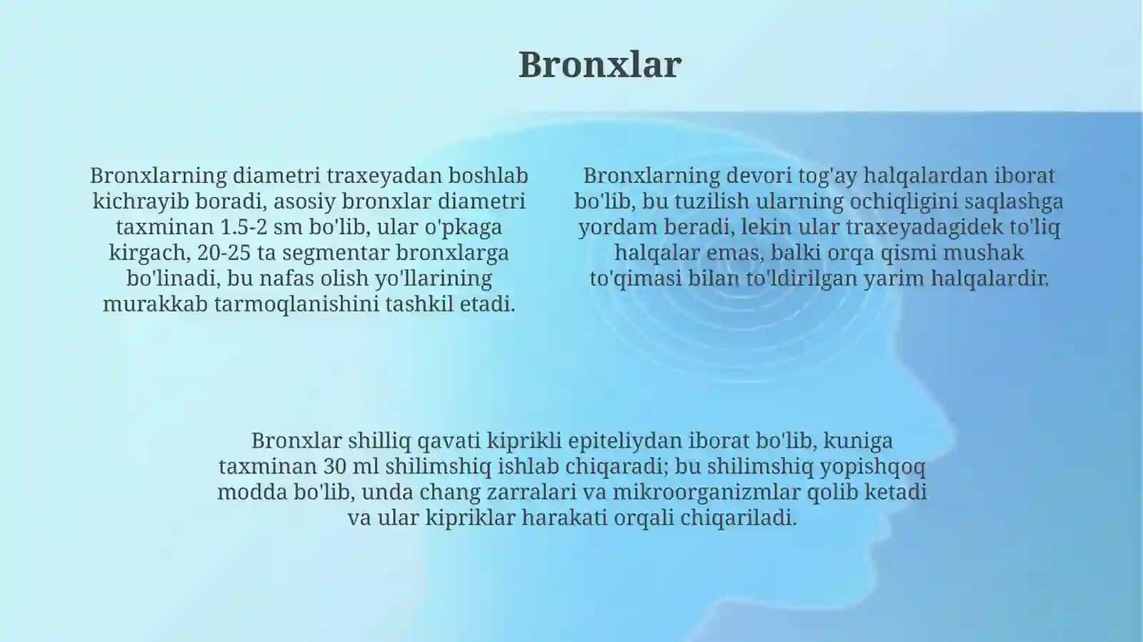 Bronxlar, oʻpka va plevra anatomiyasi 4