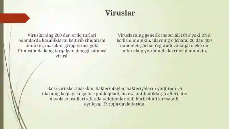Mikroorganizmlarning asosiy turlari 4