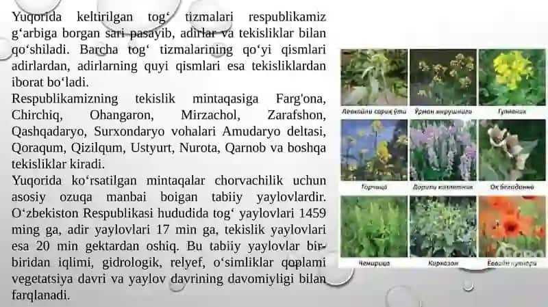 YAYLOVLARNING TABIIY SHAROITLARI 4