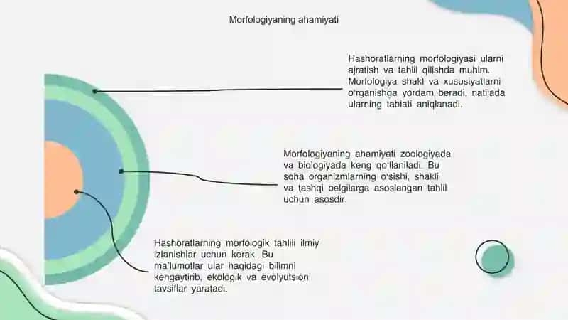 Hashoratlarning morfologiyasi 4