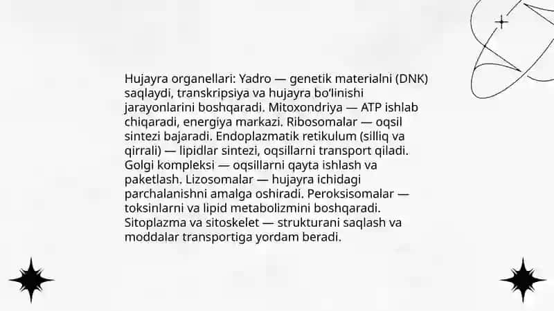 Odam organizmining tuzilishi 4
