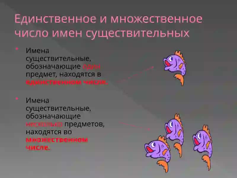 Склонение имен существительных 4