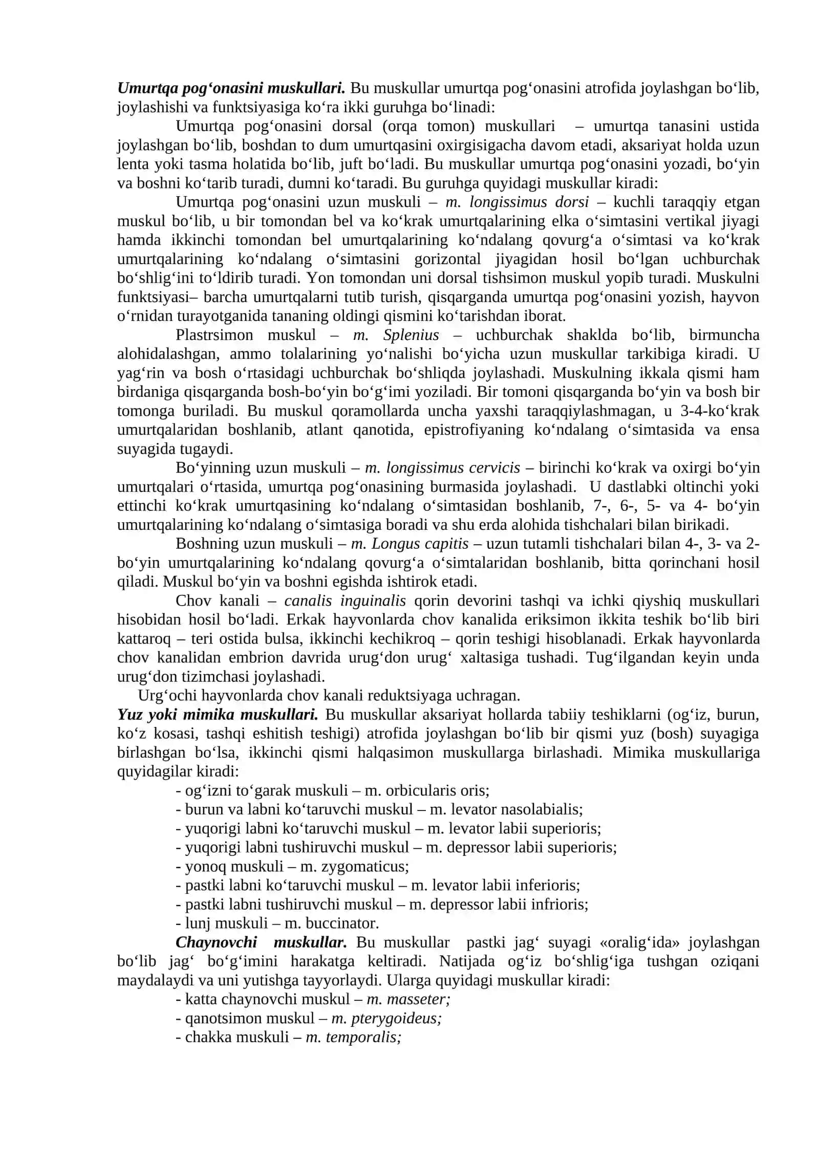 Gavda muskullarining tuzilishi 4