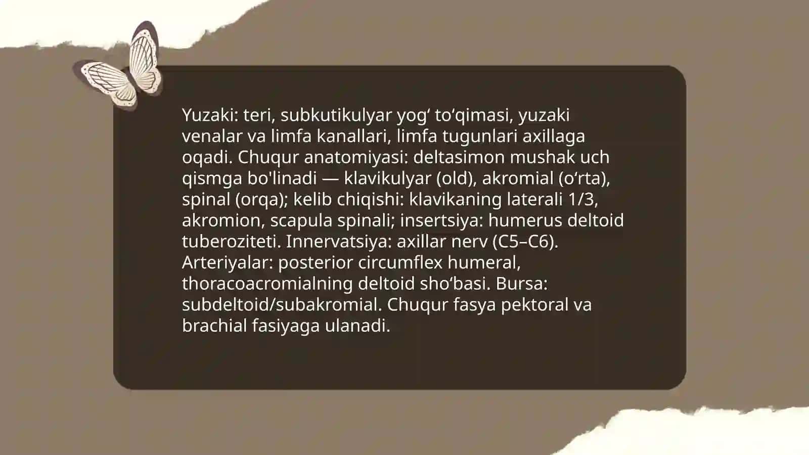 Qo‘lning topografik anatomiyasi 4
