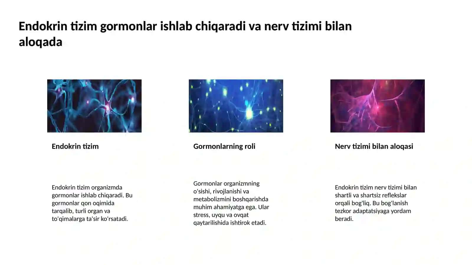 Endokrin va nerv tizimining aloqasi 4