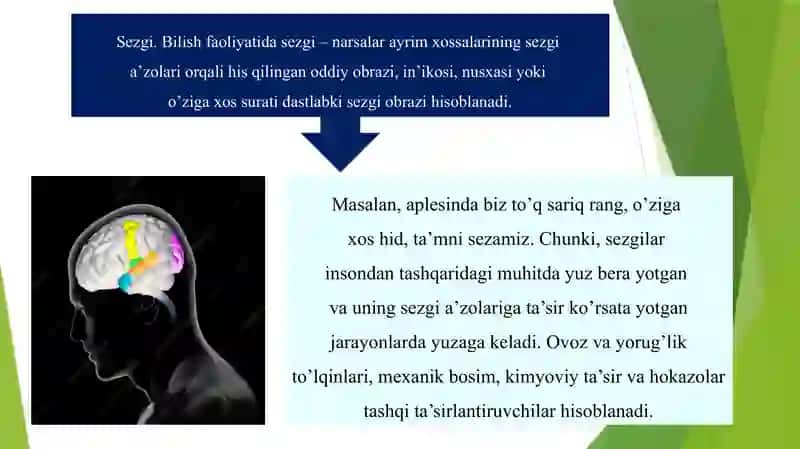 Bilish darajalari 4