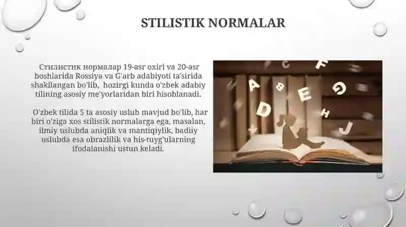 Adabiy til va uning me’yorlari 4